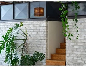 Ledvance - Luster na lanku DECOR CARDBOARD 1xE27/15W/230V 25x25 cm