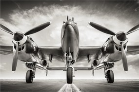 Obraz - Warbird (90x60 cm)