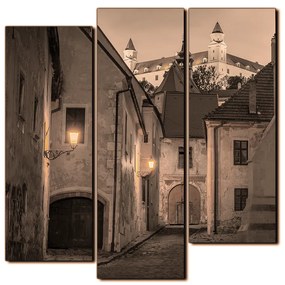 Obraz na plátne - Bratislava staré mesto s hradom vzadu - štvorec 3265FC (105x105 cm)