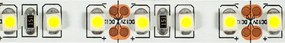 ECOLIGHT LED pásik 9,6 W/m studená farba 6500 K 600 lm/m 12 V DC IP20 1 m