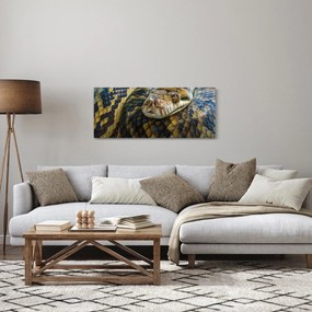 Obraz - Pytón (120x50 cm)