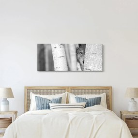 Obraz - Vlk v lese (120x50 cm)