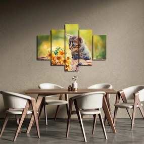 Obraz mačiatka pozerajúce sa na kvetinu (150x105 cm)