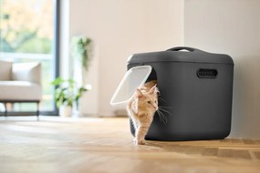 Rotho Mačacia toaleta, krytý záchod pre mačky CAT XXL - čierna