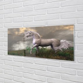 Obraz plexi Unicorn mraky 120x60 cm