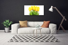 Obraz Canvas Tulipány kvety rastlina 120x60 cm