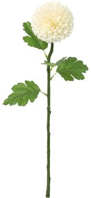 Chryzantéma biela pompon 51 cm