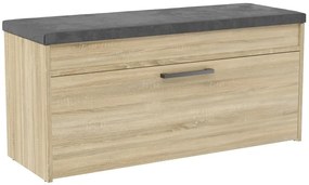 Botník (skrinka na topánky) Puntuable 1 (dub sonoma). Akcia -19%. Vlastná spoľahlivá doprava až k Vám domov. 1132601