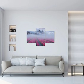 Obraz - Krajina s tulipánovými poľami (90x60 cm)