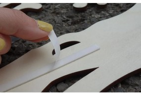 Dekoračný obraz na stenu zebra  I SENTOP PR0328 PREGLEJKA