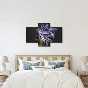 Obraz - Lila (90x60 cm)
