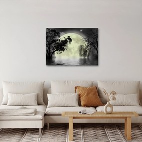 Obraz - Spln nad hladinou, čiernobiely variant (70x50 cm)