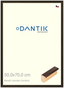 DANTIK rám na obraz 50x70 | Metalli oidati olověná (Plexi Čiré)