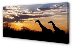 Obraz canvas Žirafy strom mraky 125x50 cm