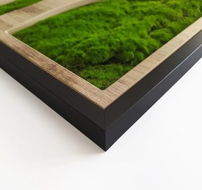 Nástenná dekorácia 50x100 cm Tree – Styler