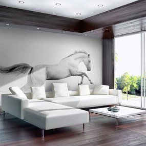 Artgeist Fototapeta - White gallop Veľkosť: 200x154, Verzia: Standard