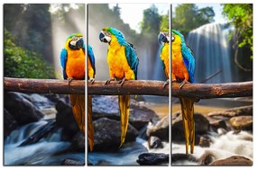 Obraz na plátne - Modro žlté Macaw 1232B (120x80 cm)