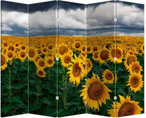 Paraván - Slnečnicové polia (210x170 cm)