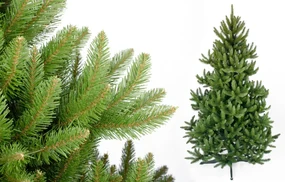 Foxigy Vianočný stromček Smrek 220cm Royal Wild