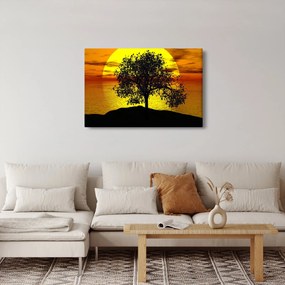 Obraz siluety stromu (90x60 cm)