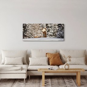 Obraz - Kôň v zimnej krajine (120x50 cm)