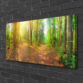 Obraz Canvas Slnko príroda lesné chodník 125x50 cm