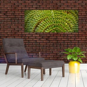 Obraz - Papraď (120x50 cm)