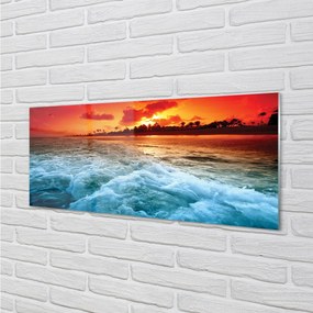 Obraz plexi Sea strom západ 120x60 cm