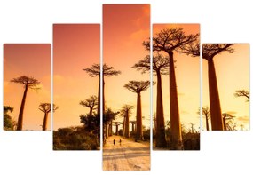 Obraz - Západ slnka v uličke Baobab (150x105 cm)