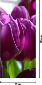 Fototapeta na dvere - Tulipány (95x205cm)