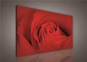Obraz na stenu červená ruža 100 x 75 cm