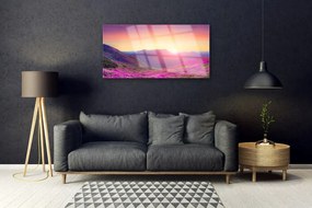Skleneny obraz Slnko hory lúka príroda 100x50 cm