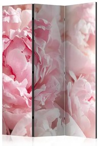 Paraván - Sweet Peonies [Room Dividers] Veľkosť: 135x172, Verzia: Akustický