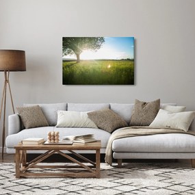 Obraz letnej lúky (90x60 cm)