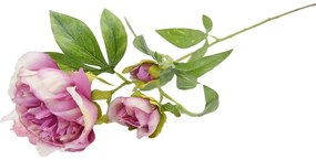 Peonia 59cm cyklámenová A2010574