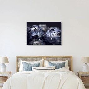Obraz ovocia s kvapkami vody (90x60 cm)