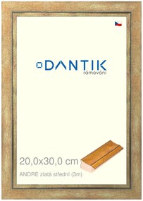 DANTIK rám na obraz 20x30 | ANDRE zlatá střední (Sklo Čiré)