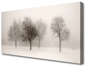Obraz Canvas Sneh stromy príroda 100x50 cm