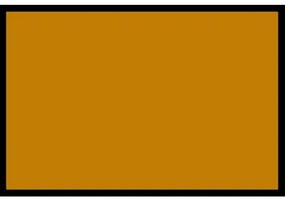 Navrhnuteľná rohožka Flat Prémium (Vyberte veľkosť: 75*50 cm, Vyberte farbu: 029 Zlatá)