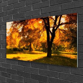 Skleneny obraz Stromy jeseň príroda 125x50 cm