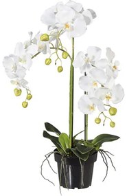 Umelá orchidea phalaenopsis 62 cm biela v plastovom kvetináči 15 cm