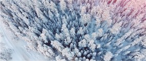 Obraz zasnežených stromov (120x50 cm)