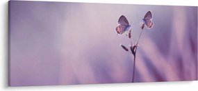Obraz - Fialové motýliky (120x50 cm)