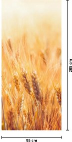 Fototapeta na dvere - Pole s obilím (95x205cm)