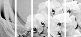5-dielny obraz nádherná čiernobiela orchidea