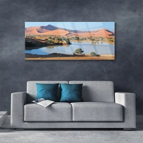 Obraz plexi Jazero púšť krajina 125x50 cm