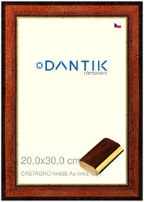 DANTIK rám na obraz 20x30 | CASTAGNO hnědá Au linka (Sklo Čiré)