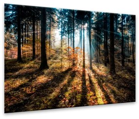 Obraz Styler Glasspik Autumn Sunset, 70 × 100 cm