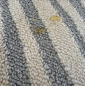 TZ Sivý obdĺžnikový pruhovaný koberec Strado Polo Cloud vzor zebra Rozmer: 120x170 cm