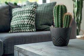 Kvetináč Areca - výber z 6 prevedení